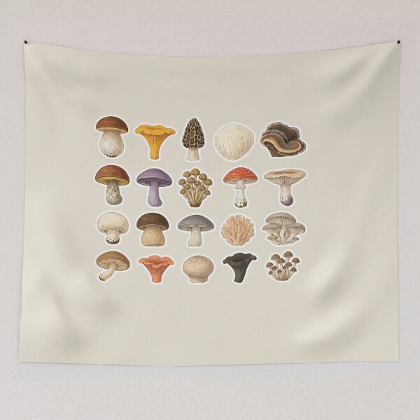 Item preview, Mushroom Species Mycology Mushroom Collection | Forest Fungi Guide | Cute Botanical designed and sold by SimplePoDesign.