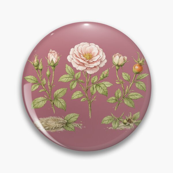 Item preview, Garden Roses Botanical Illustration – Victorian Watercolor Rose Life Cycle Plant Art designed and sold by MagicMakerPh.
