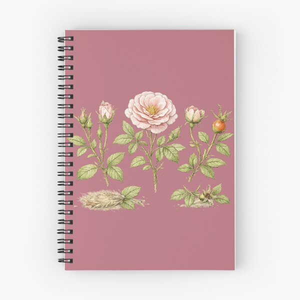 Item preview, Garden Roses Botanical Illustration – Victorian Watercolor Rose Life Cycle Plant Art designed and sold by MagicMakerPh.