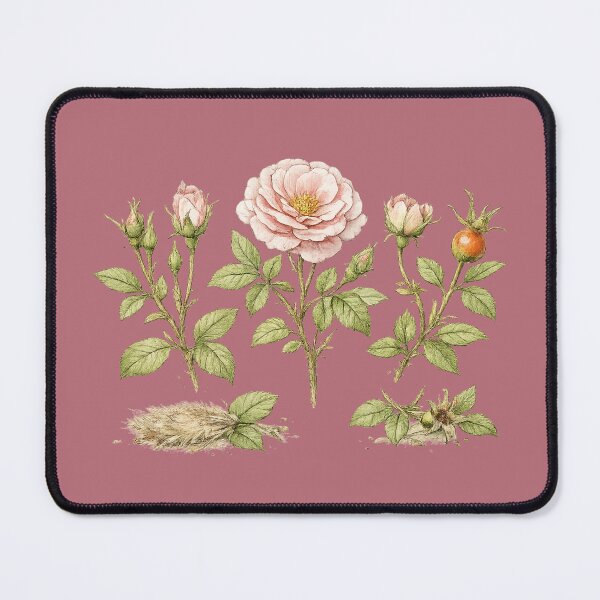 Item preview, Garden Roses Botanical Illustration – Victorian Watercolor Rose Life Cycle Plant Art designed and sold by MagicMakerPh.