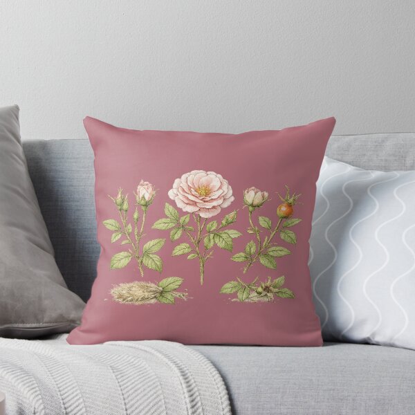 Item preview, Garden Roses Botanical Illustration – Victorian Watercolor Rose Life Cycle Plant Art designed and sold by MagicMakerPh.