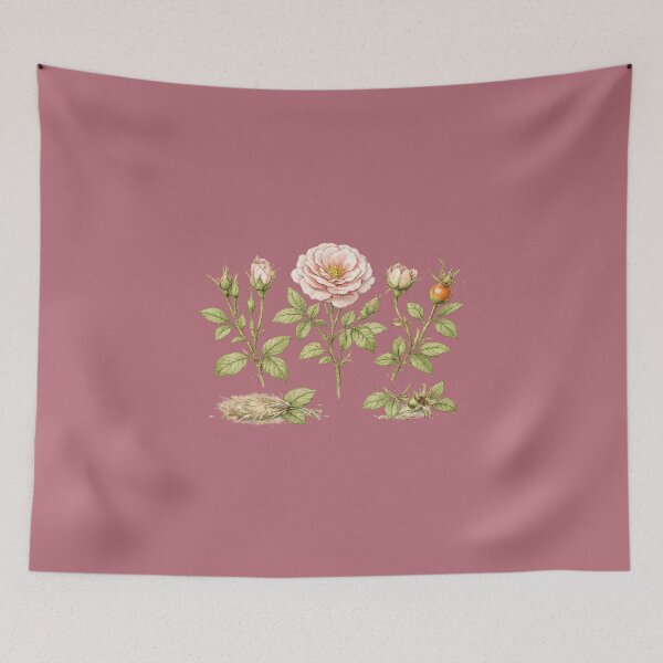 Item preview, Garden Roses Botanical Illustration – Victorian Watercolor Rose Life Cycle Plant Art designed and sold by MagicMakerPh.
