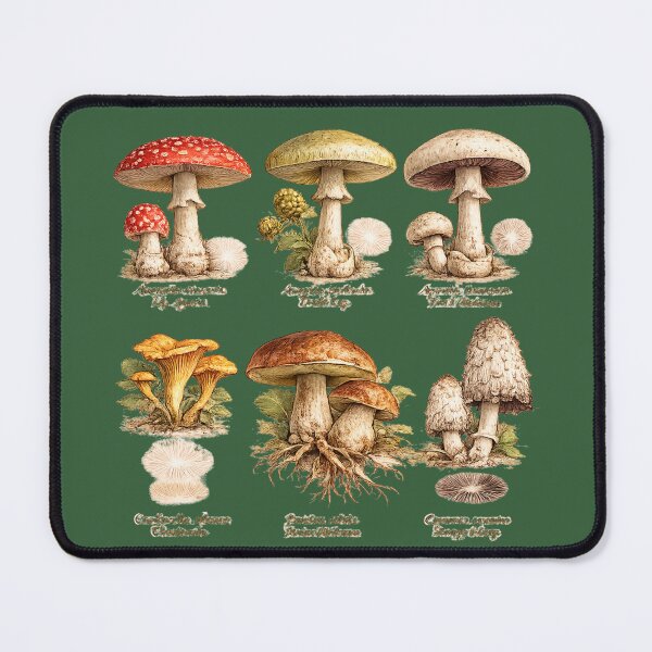 Item preview, Vintage Mushroom Field Guide Illustration – Botanical Fungi Watercolor Scientific Art designed and sold by MagicMakerPh.