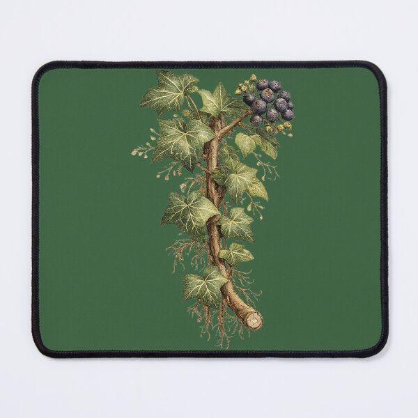 Item preview, Ivy Botanical Illustration – Hedera Helix Victorian Watercolor Scientific Plant Art designed and sold by MagicMakerPh.