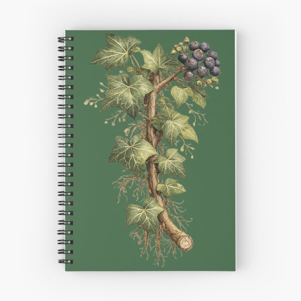 Item preview, Ivy Botanical Illustration – Hedera Helix Victorian Watercolor Scientific Plant Art designed and sold by MagicMakerPh.