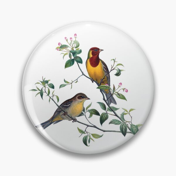 Item preview, Red Headed Bunting Birds on Blossoming Branch Vintage Botanical Art designed and sold by RGB-crayon.
