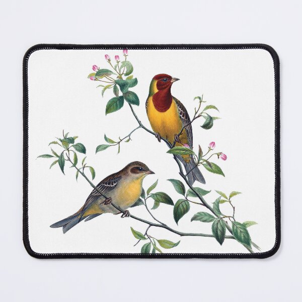 Item preview, Red Headed Bunting Birds on Blossoming Branch Vintage Botanical Art designed and sold by RGB-crayon.