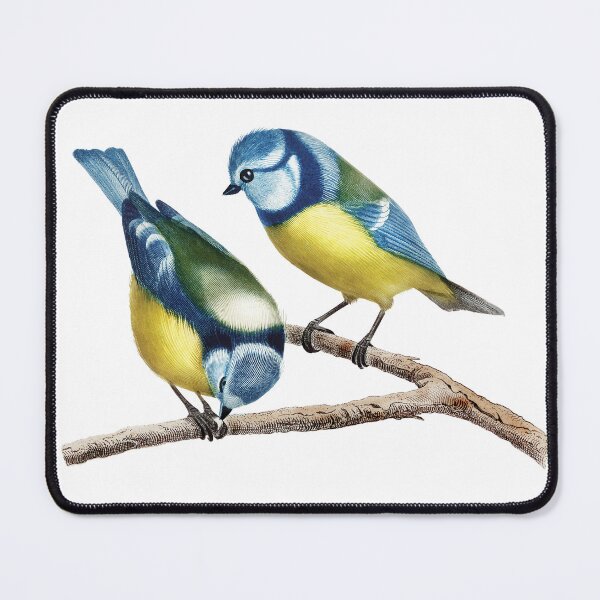 Item preview, Vintage Blue Tit Birds on Branch Botanical Illustration designed and sold by RGB-crayon.
