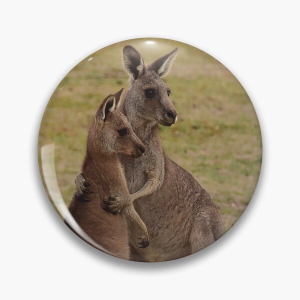 Item preview, Father Roo explaining life to his son. designed and sold by Inspired Arts.