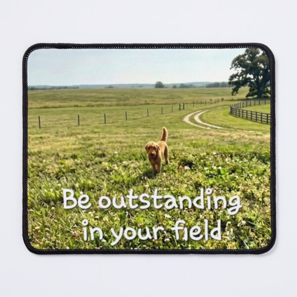 Item preview, "Be outstanding in your field" designed and sold by Positive Shift.