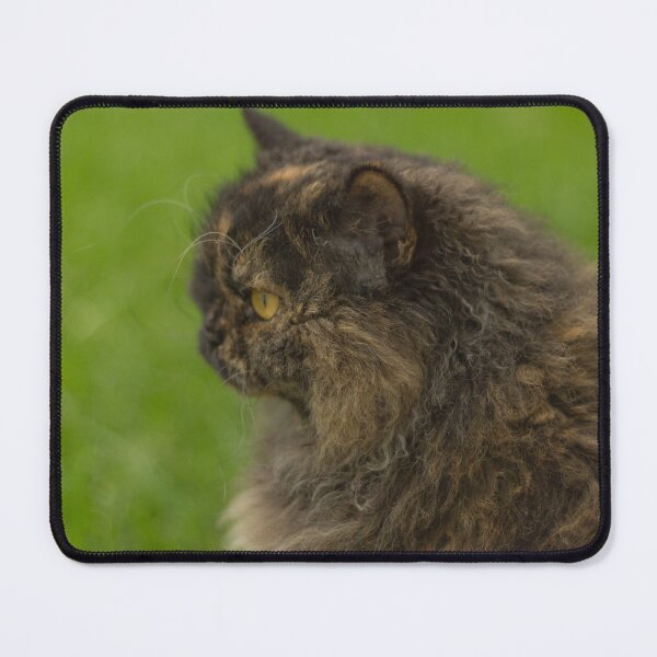 Item preview, Miss Lilly designed and sold by Withns.