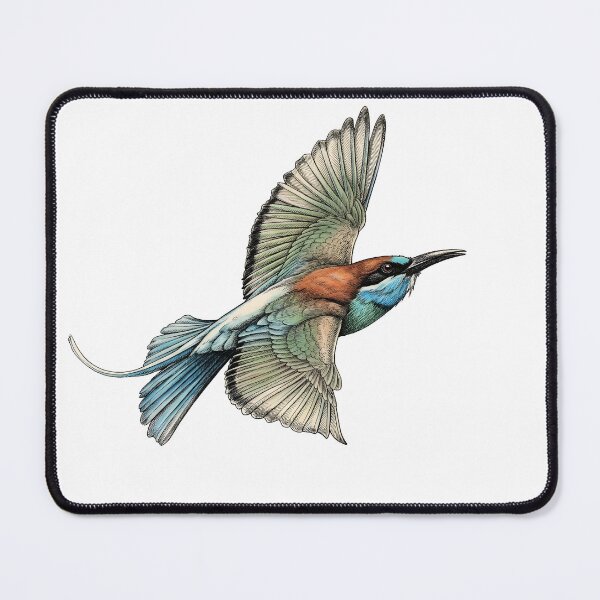 Item preview, Highly detailed scientific illustrations of Blue-throated Bee-eater  in a vintage natural history book style designed and sold by wonderisland.
