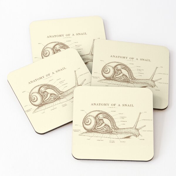 Item preview, Vintage Anatomy Of A Snail Scientific Sketch designed and sold by Imaginationbeyond.
