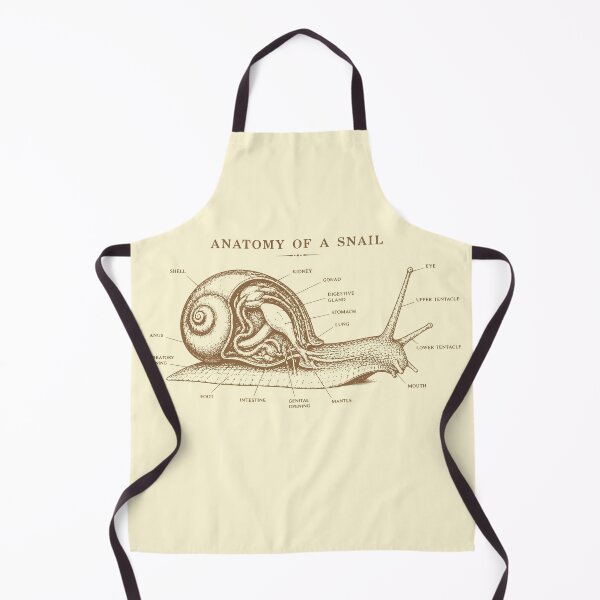 Item preview, Vintage Anatomy Of A Snail Scientific Sketch designed and sold by Imaginationbeyond.