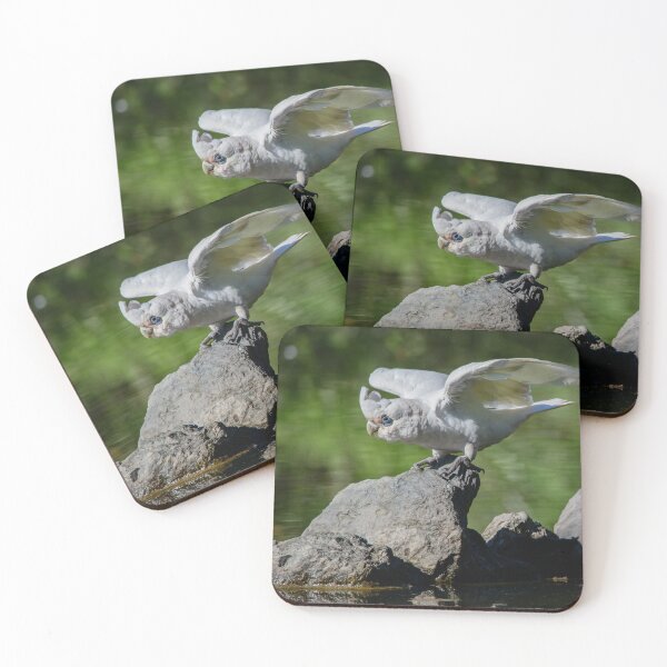 Item preview, Flying Nowhere Fast designed and sold by QuietWonderCo.