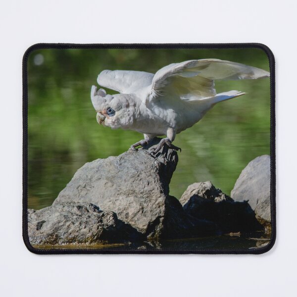 Item preview, Flying Nowhere Fast designed and sold by QuietWonderCo.