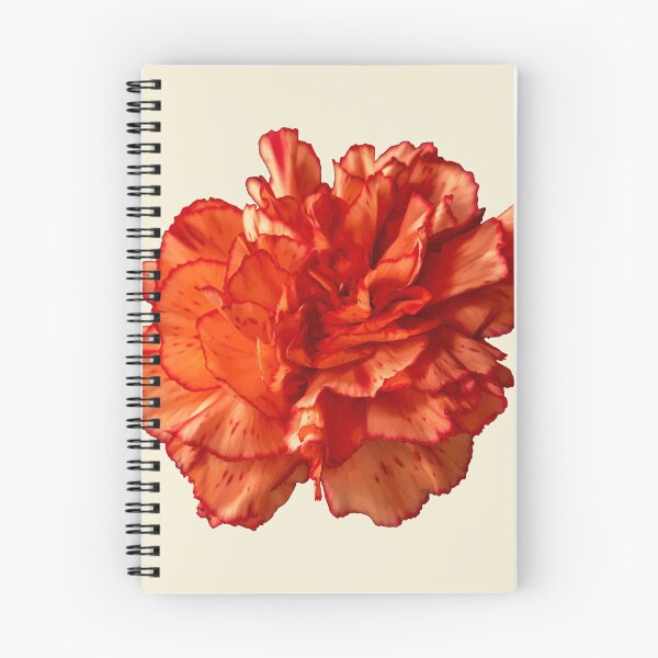 Item preview, Stunningly Beautiful Red Carnation Vector Cut Out  designed and sold by taiche.