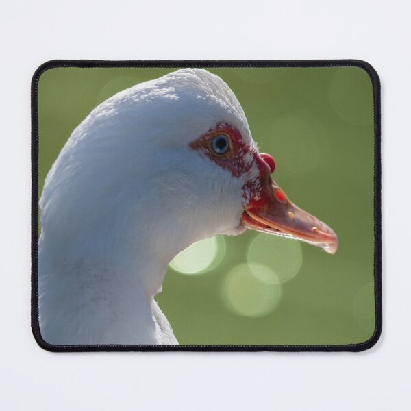 Item preview, Blue Eyed Beauty designed and sold by QuietWonderCo.