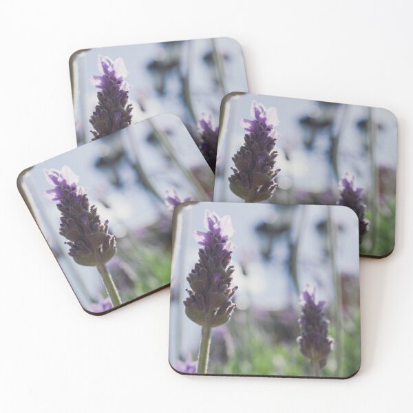 Item preview, Lavander Fields  designed and sold by QuietWonderCo.