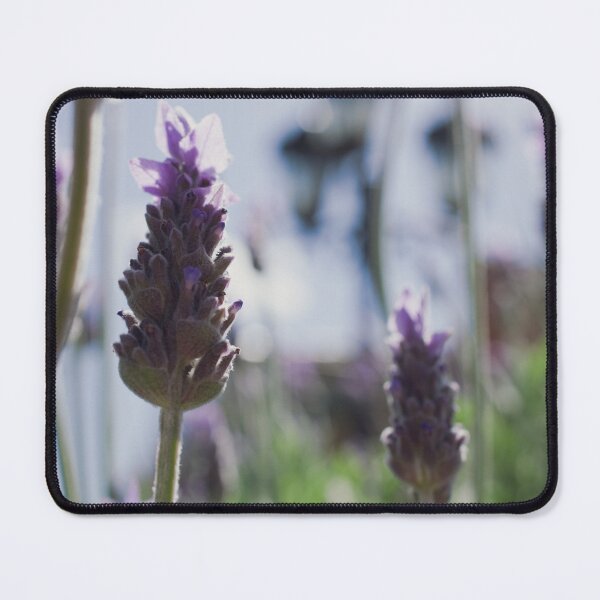 Item preview, Lavander Fields  designed and sold by QuietWonderCo.