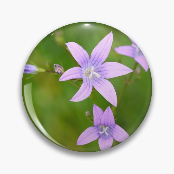 Item preview, Magpies bells. Spreading Bellflower designed and sold by Jouko Lehto Photography.