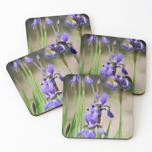 Item preview, Blue iris. Siberian iris designed and sold by Jouko Lehto Photography.