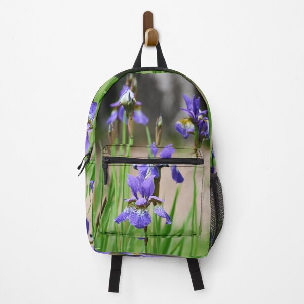 Item preview, Blue iris. Siberian iris designed and sold by Jouko Lehto Photography.