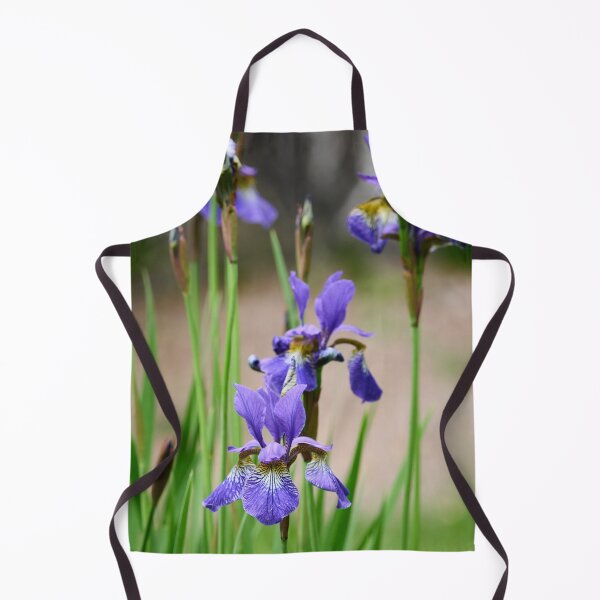 Item preview, Blue iris. Siberian iris designed and sold by Jouko Lehto Photography.