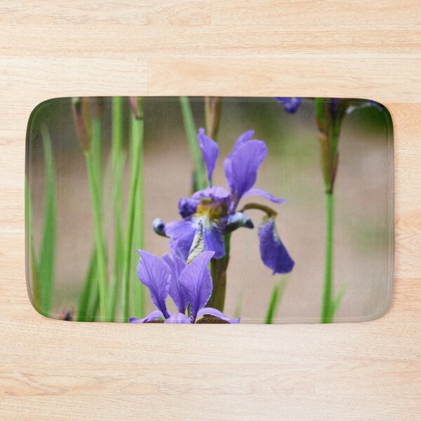 Item preview, Blue iris. Siberian iris designed and sold by Jouko Lehto Photography.