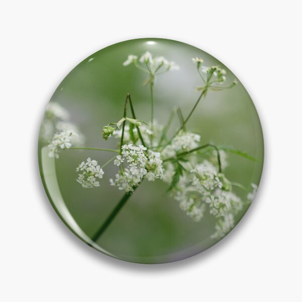 Item preview, Whites and greens. Cow Parsley designed and sold by Jouko Lehto Photography.
