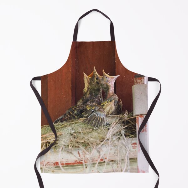 Item preview, Always hungry kids. Song Thrush designed and sold by Jouko Lehto Photography.