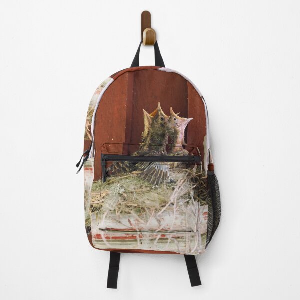 Item preview, Always hungry kids. Song Thrush designed and sold by Jouko Lehto Photography.