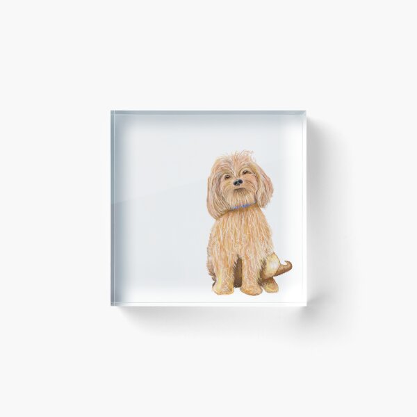 Item preview, Cockerpoo designed and sold by MollyMacLiving.
