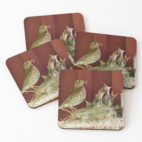 Item preview, Sweets for the family. Song Thrush designed and sold by Jouko Lehto Photography.