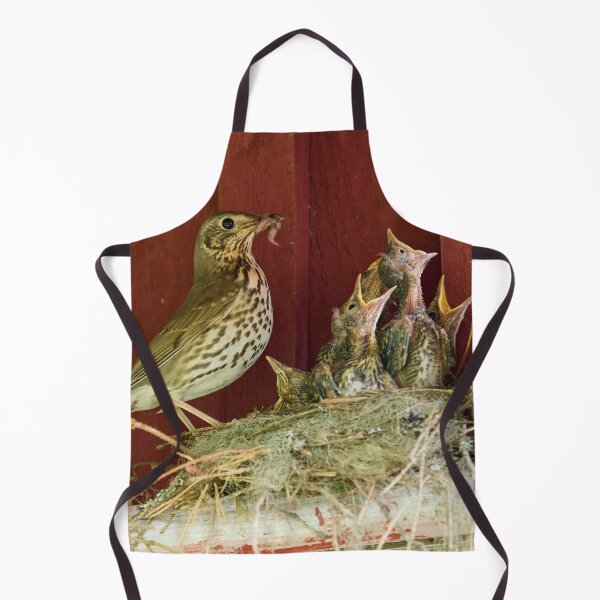 Item preview, Sweets for the family. Song Thrush designed and sold by Jouko Lehto Photography.