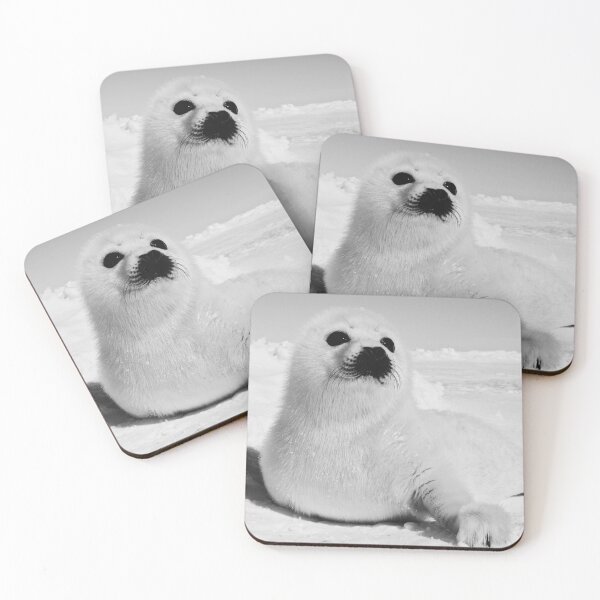 Item preview, Harp Seal, Canada designed and sold by Wildlife BW.