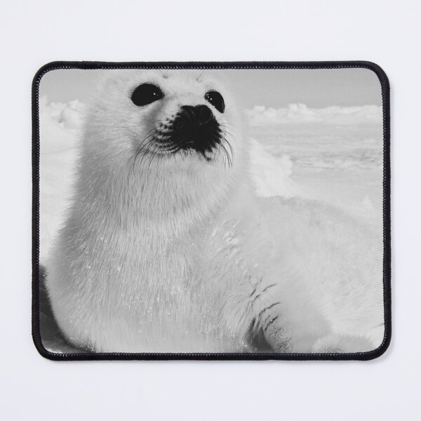 Item preview, Harp Seal, Canada designed and sold by Wildlife BW.