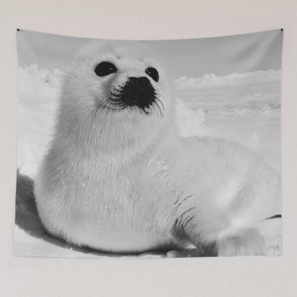 Item preview, Harp Seal, Canada designed and sold by Wildlife BW.