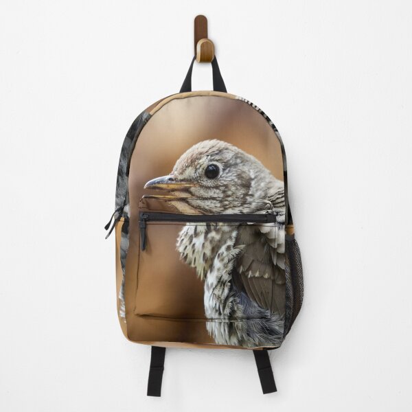 Item preview, Fluffy. Song Thrush designed and sold by Jouko Lehto Photography.