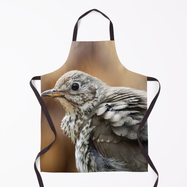 Item preview, Fluffy. Song Thrush designed and sold by Jouko Lehto Photography.