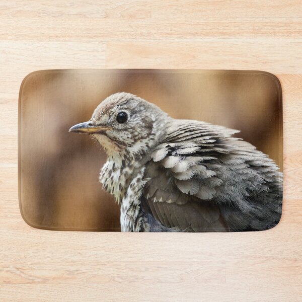 Item preview, Fluffy. Song Thrush designed and sold by Jouko Lehto Photography.