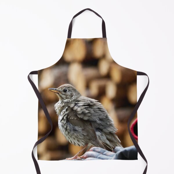 Item preview, Ready for a job. Song Thrush designed and sold by Jouko Lehto Photography.