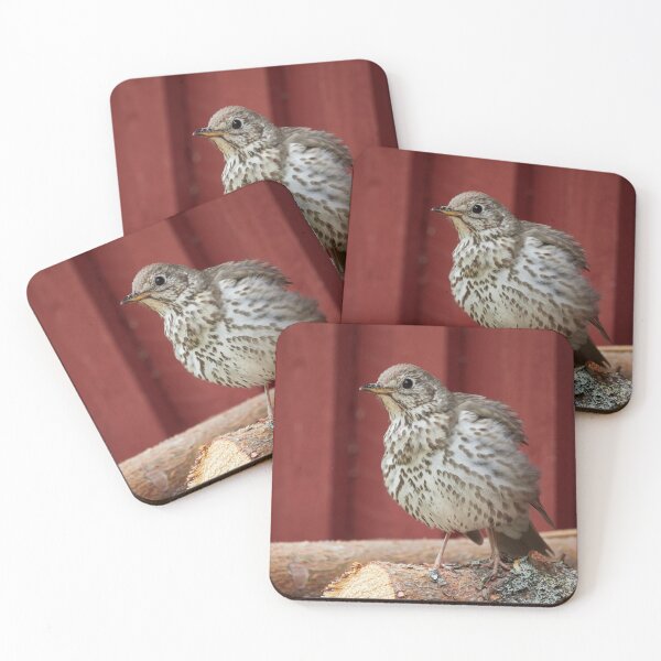 Item preview, Firewood check. Song Thrush designed and sold by Jouko Lehto Photography.