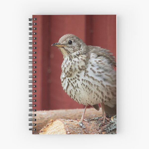 Item preview, Firewood check. Song Thrush designed and sold by Jouko Lehto Photography.