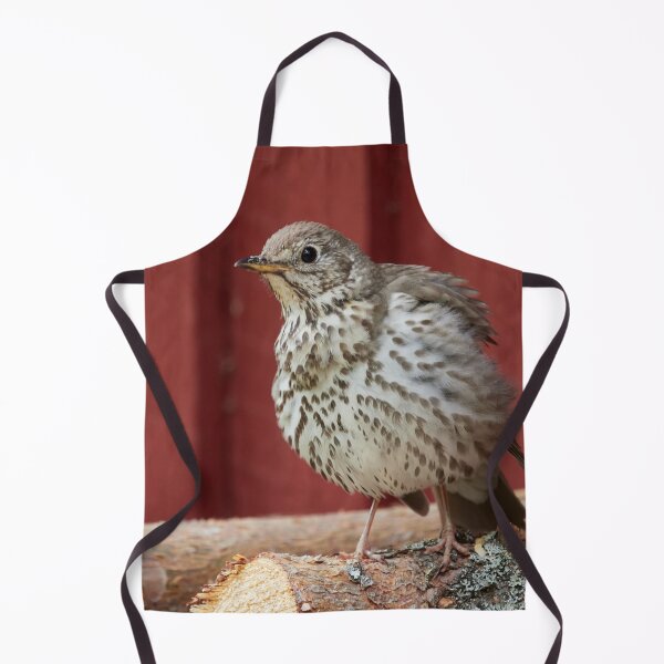 Item preview, Firewood check. Song Thrush designed and sold by Jouko Lehto Photography.