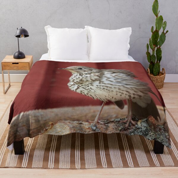 Item preview, Firewood check. Song Thrush designed and sold by Jouko Lehto Photography.