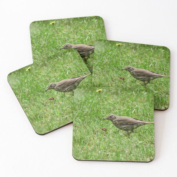 Item preview, Worms. Song Thrush designed and sold by Jouko Lehto Photography.