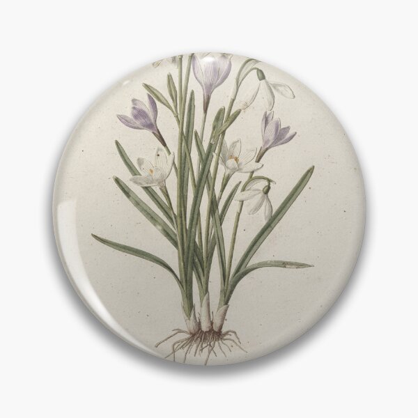 Item preview, Vintage Pressed Snowdrop and Crocus Herbarium Plate designed and sold by PictorialWhimsy.