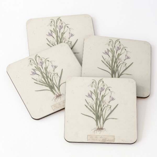 Item preview, Vintage Pressed Snowdrop and Crocus Herbarium Plate designed and sold by PictorialWhimsy.