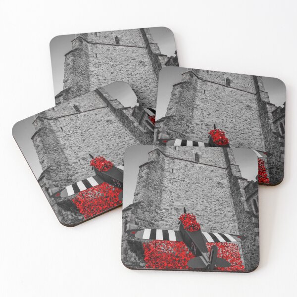 Item preview, colour pop - plane and poppy display designed and sold by Perggals© - Stacey Turner.